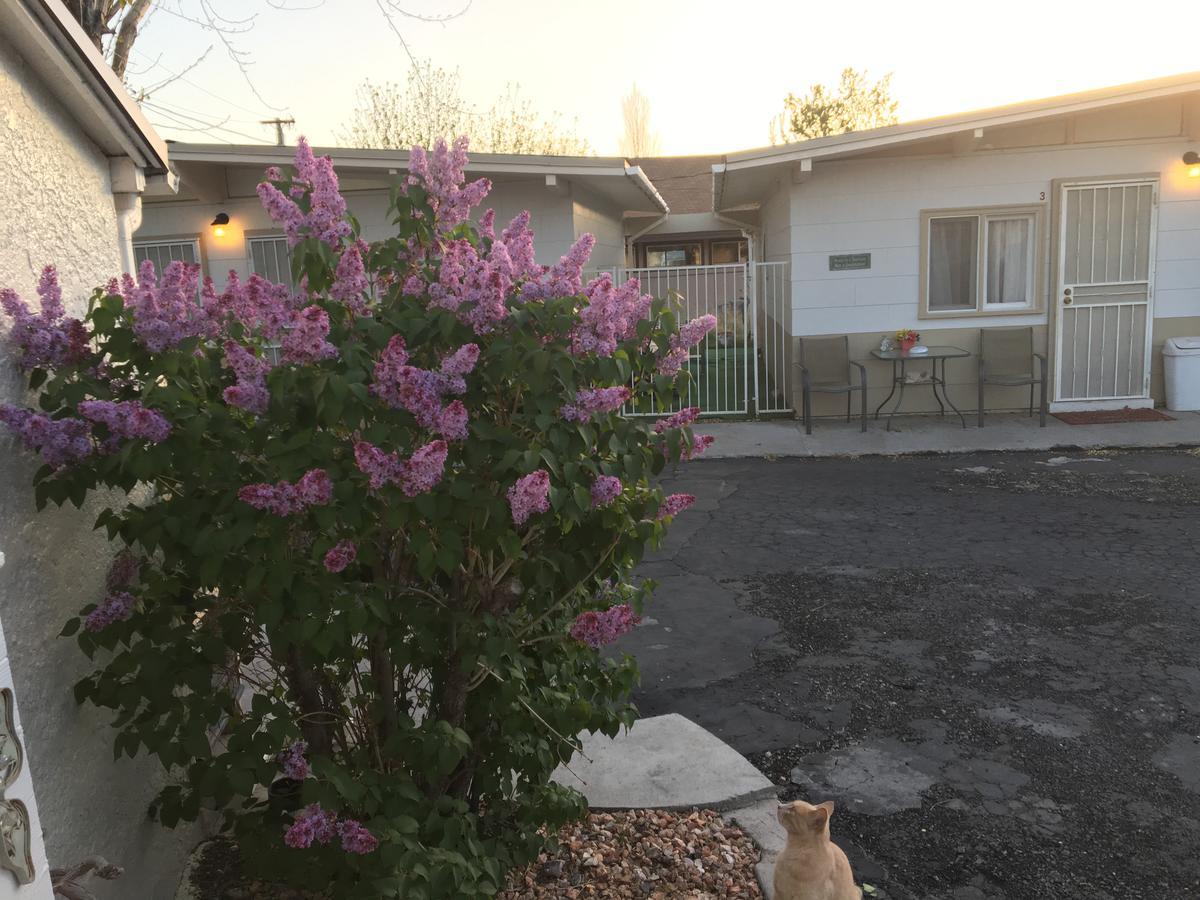 Midway Motel Caliente Luaran gambar